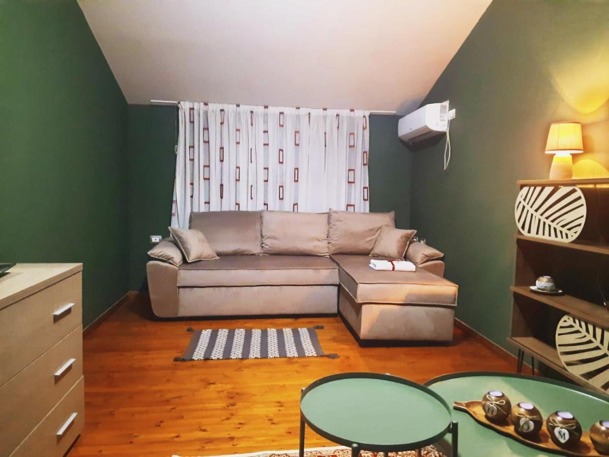 Ecoart Apartments ティラナ エクステリア 写真