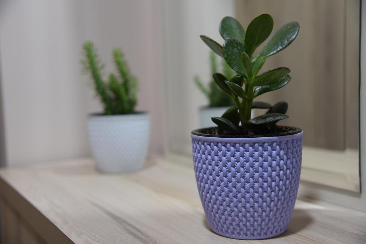Ecoart Apartments ティラナ エクステリア 写真